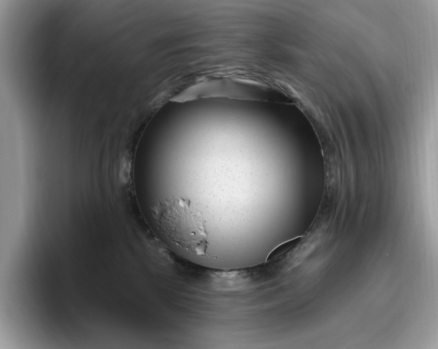 X0000095960281200801251156