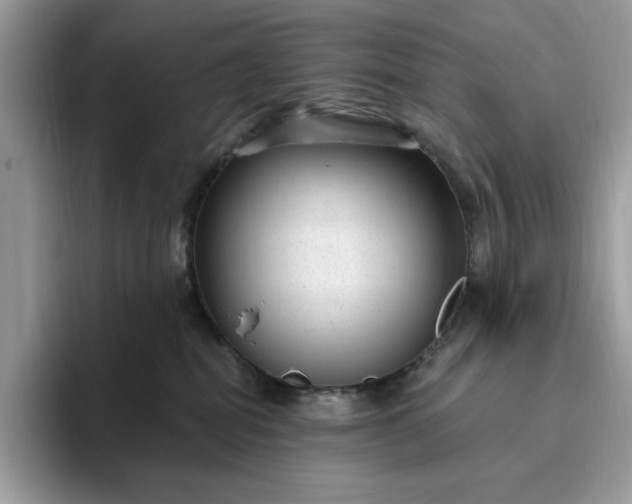 X0000095960282200801251156