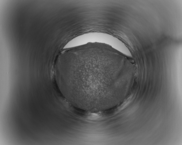 X0000095960285200801251156