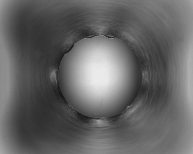 X0000095960286200801251156