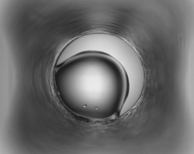 X0000095960289200801251155