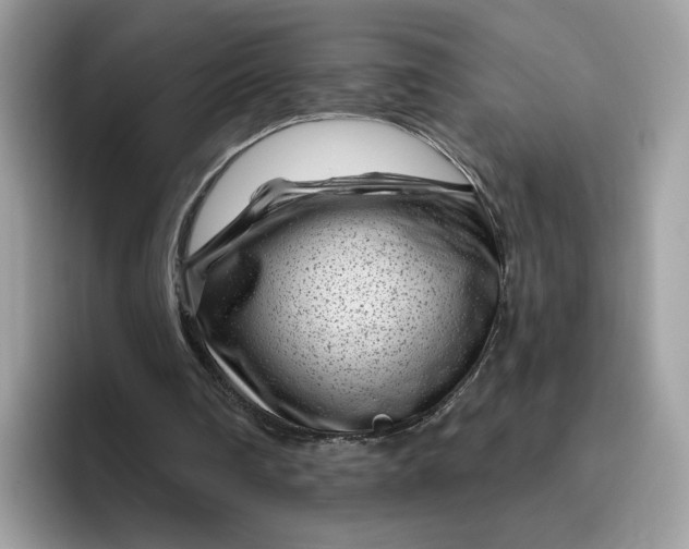 X0000095960290200801251155