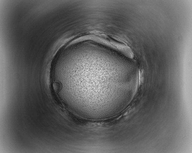 X0000095960291200801251155