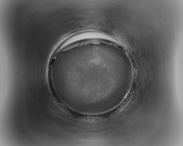 X0000095960292200801251155