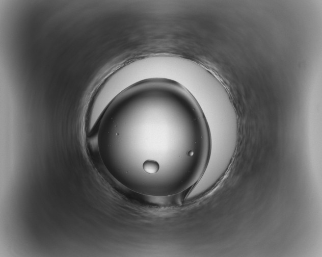 X0000095960293200801251155