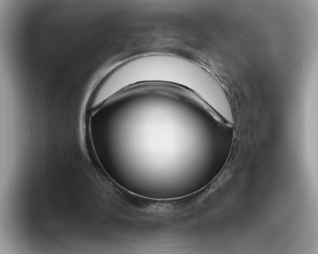 X0000095960294200801251155