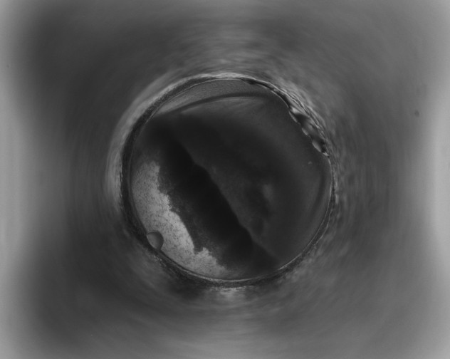 X0000095960295200801251155