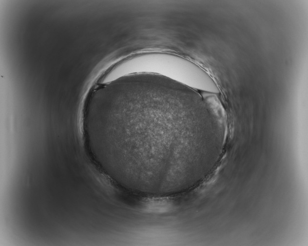 X0000095960296200801251155