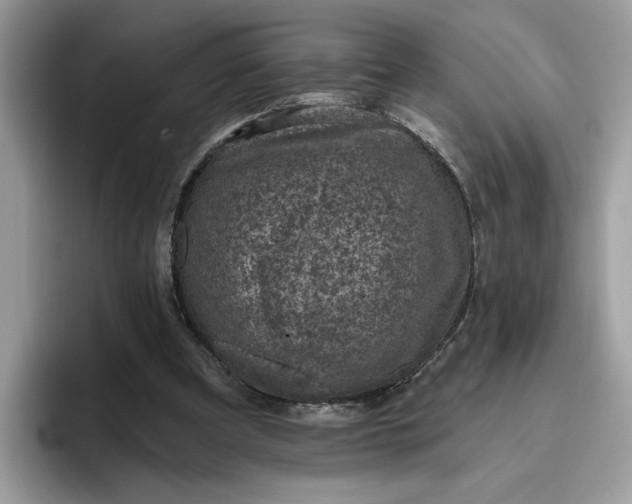 X0000095960297200801251155