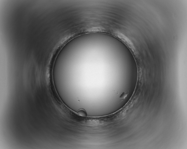 X0000095960298200801251155