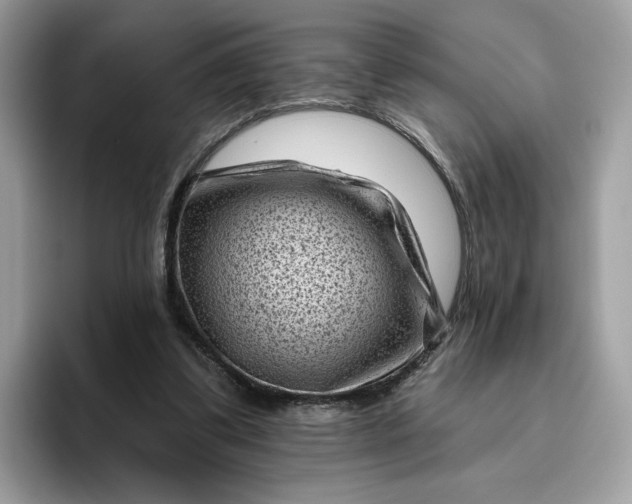 X0000095960299200801251155