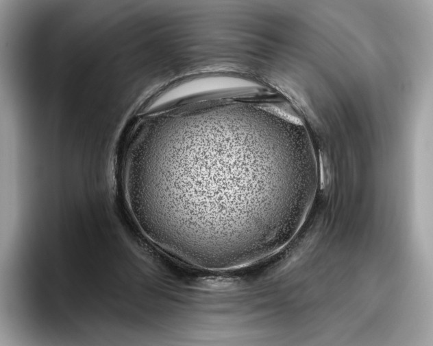 X0000095960300200801251155