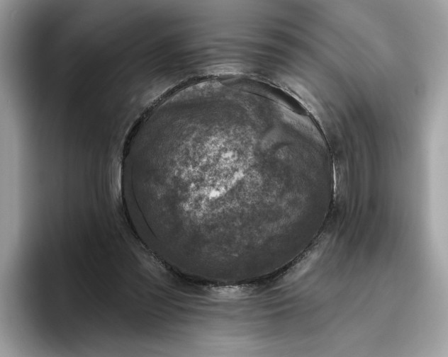 X0000095960301200801251155