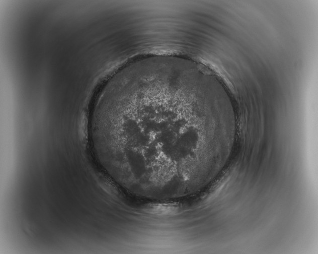 X0000095960303200801251155