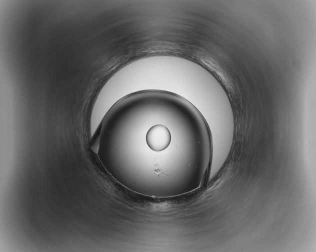 X0000095960309200801251155