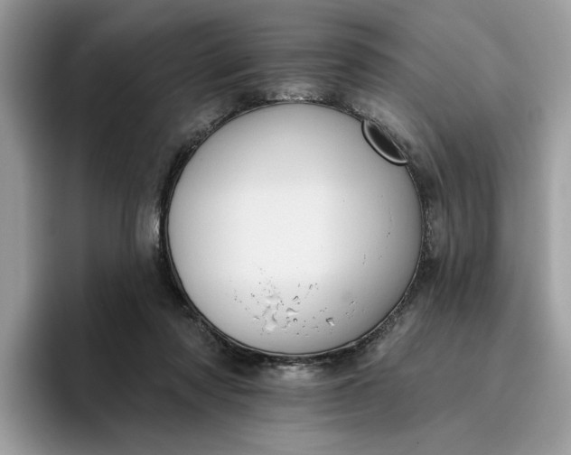 X0000095960310200801251155