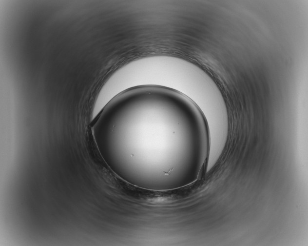 X0000095960312200801251155