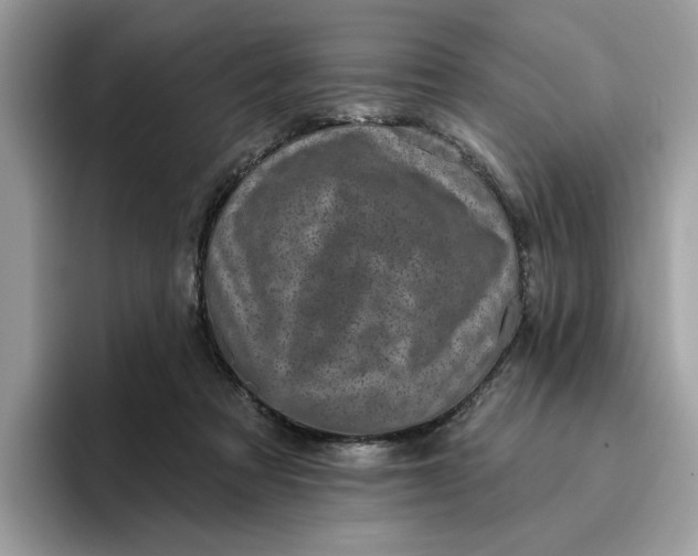 X0000095960313200801251155