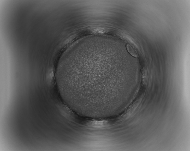 X0000095960314200801251155