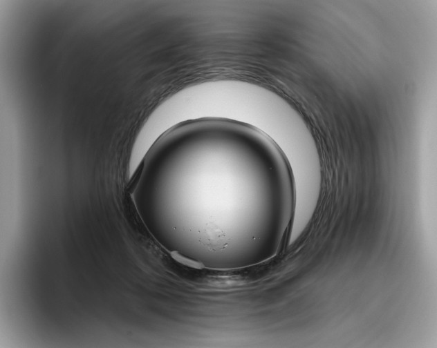 X0000095960316200801251155