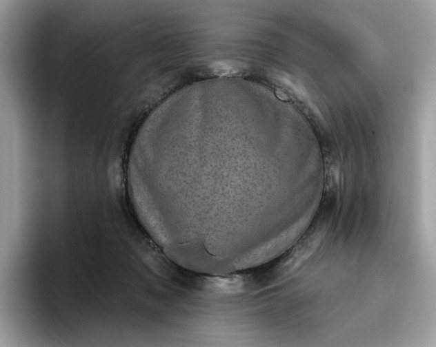 X0000095960317200801251155