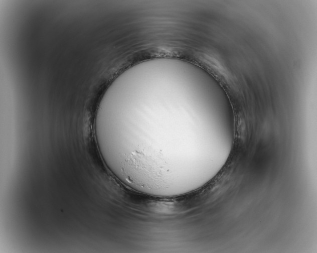 X0000095960318200801251155