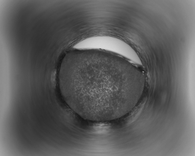 X0000095960319200801251155