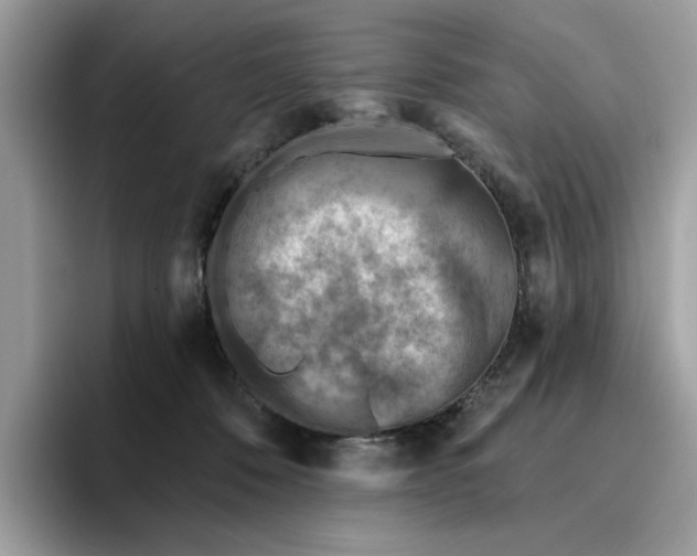 X0000095960320200801251155