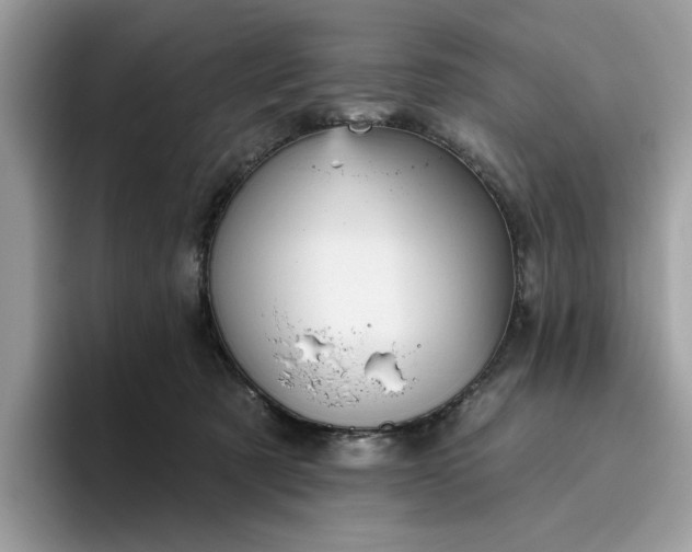 X0000095960321200801251155