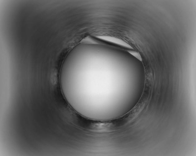 X0000095960323200801251155