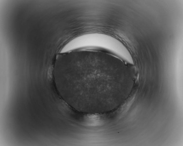 X0000095960325200801251155