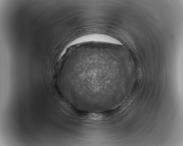 X0000095960328200801251155