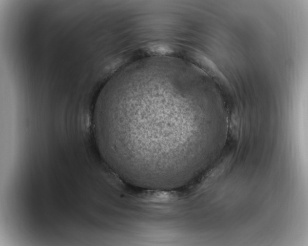 X0000095960330200801251155