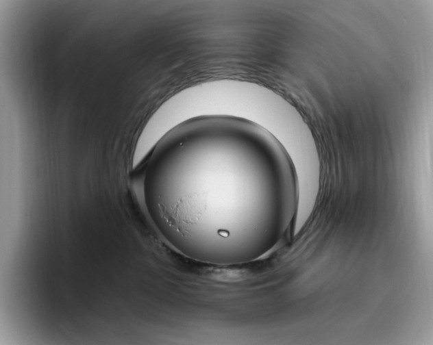 X0000095960332200801251155