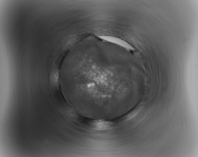 X0000095960336200801251155