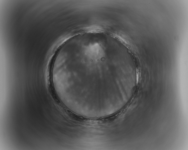 X0000095960339200801251154