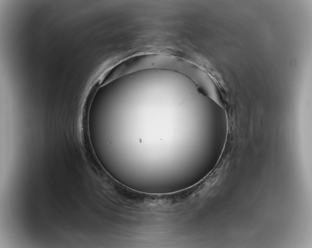 X0000095960340200801251154