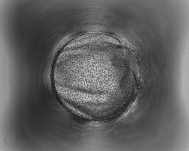 X0000095960341200801251154