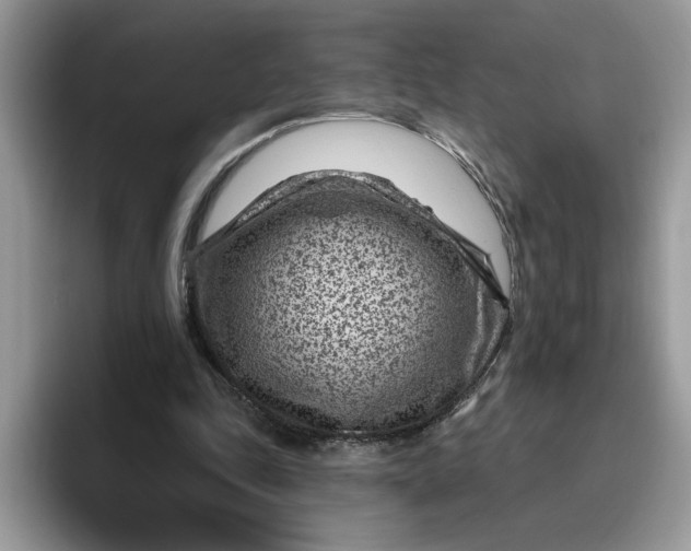 X0000095960343200801251154