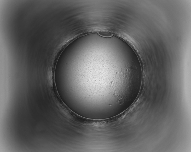 X0000095960345200801251154