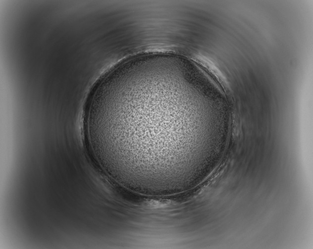 X0000095960346200801251154