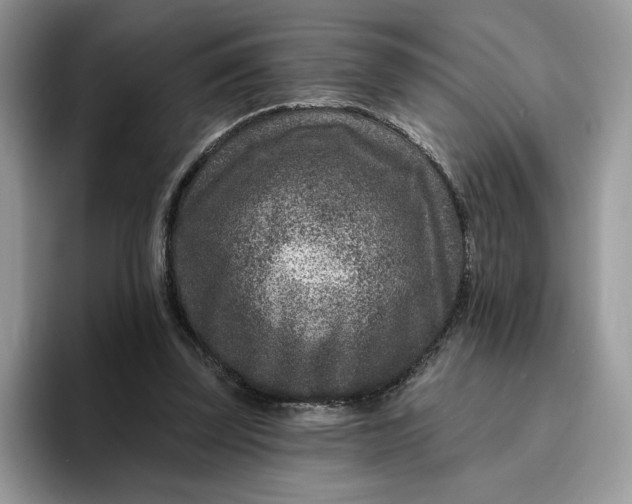 X0000095960347200801251154