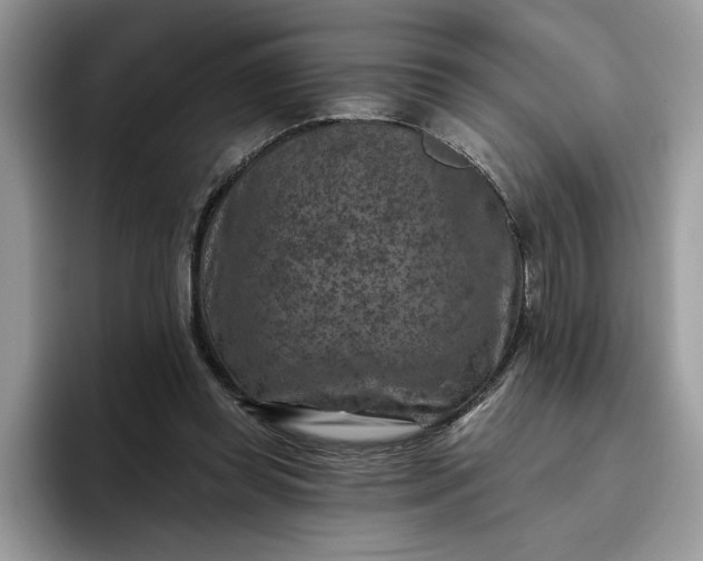 X0000095960349200801251154