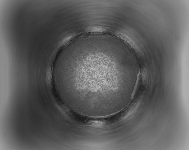 X0000095960352200801251154