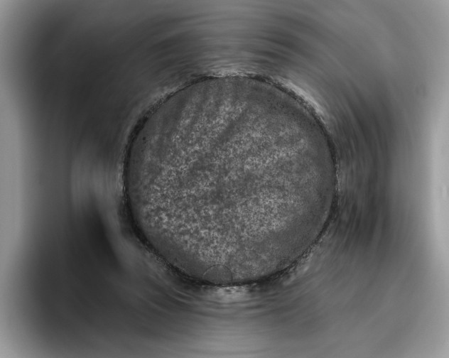 X0000095960353200801251154