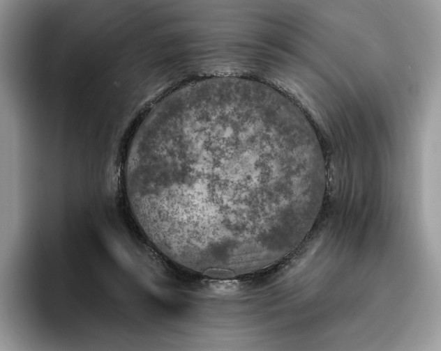 X0000095960355200801251154