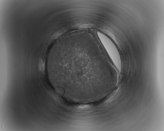 X0000095960357200801251154