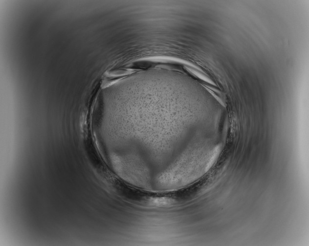 X0000095960360200801251155