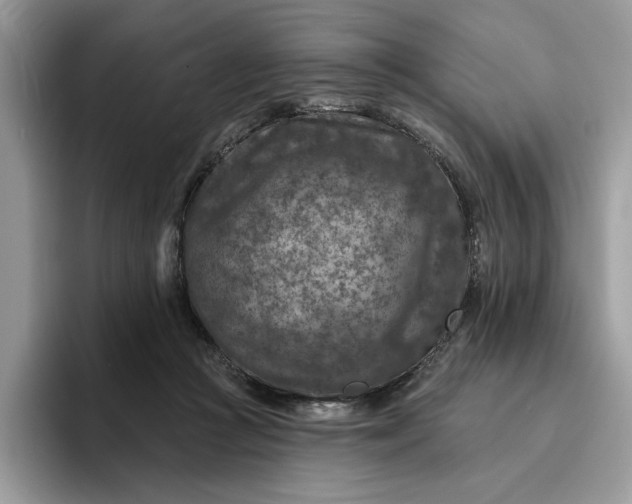 X0000095960361200801251155