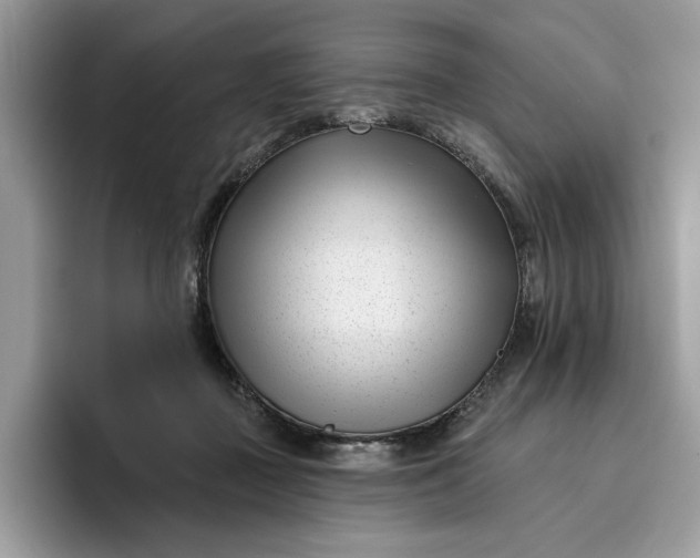 X0000095960363200801251155